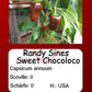 Randy Sine's Sweet Chocoloco DER TOMATENFLÜSTERER