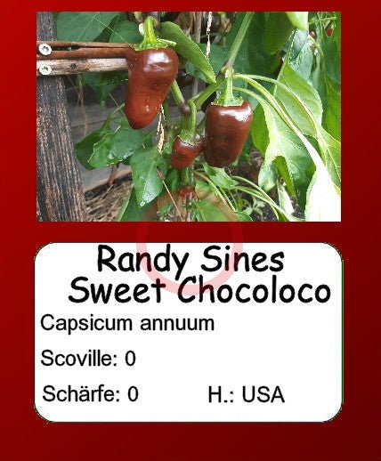 Randy Sine's Sweet Chocoloco DER TOMATENFLÜSTERER