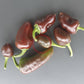 Randy Sine's Sweet Chocoloco DER TOMATENFLÜSTERER