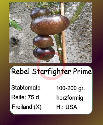 Rebel Starfighter Prime DER TOMATENFLÜSTERER