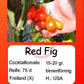 Red Fig DER TOMATENFLÜSTERER