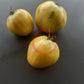 Reinhard´s Green Heart DER TOMATENFLÜSTERER