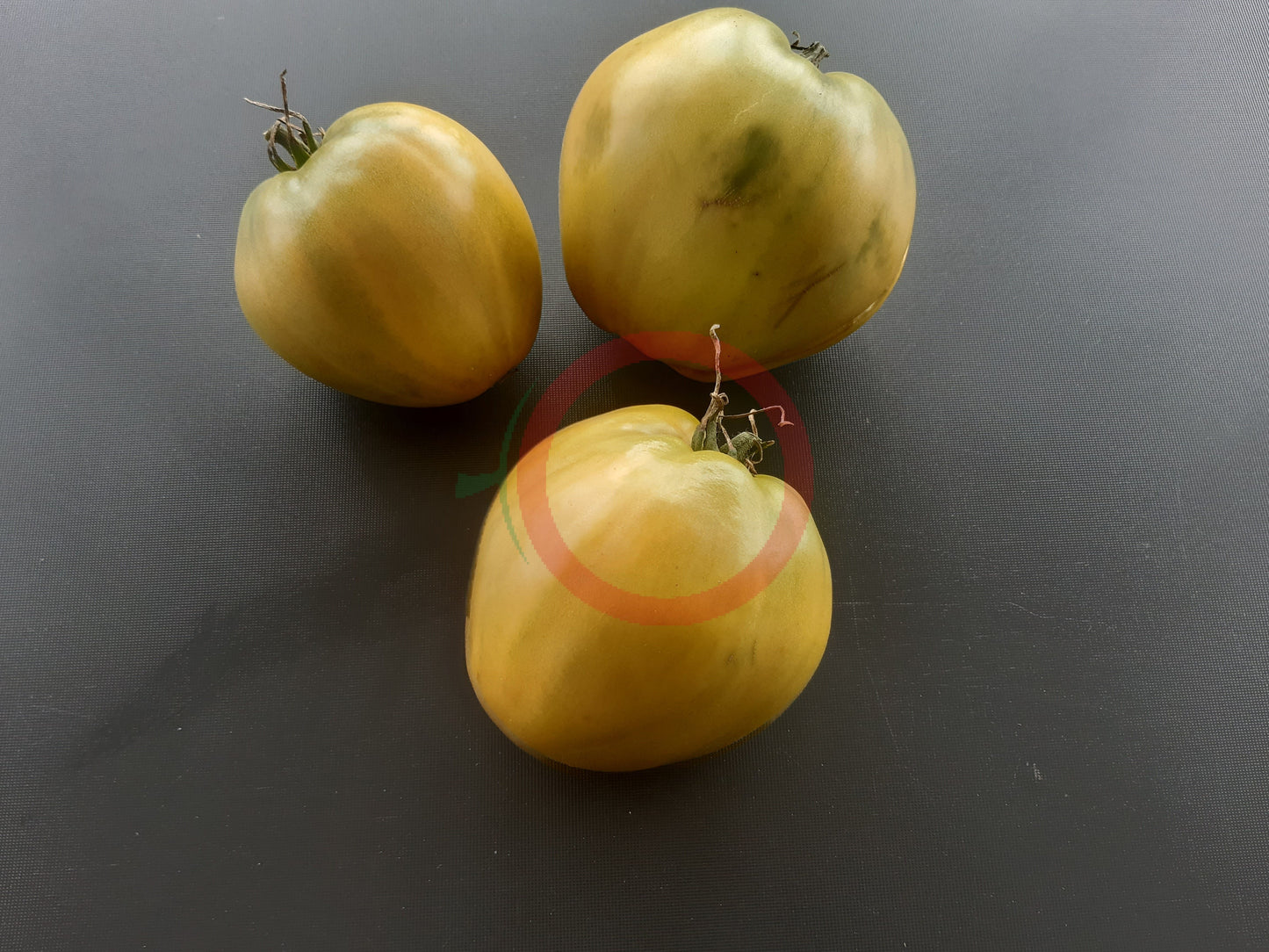 Reinhard´s Green Heart DER TOMATENFLÜSTERER
