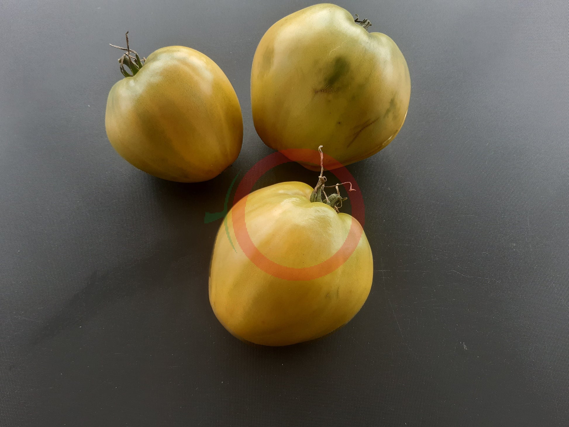 Reinhard´s Green Heart DER TOMATENFLÜSTERER