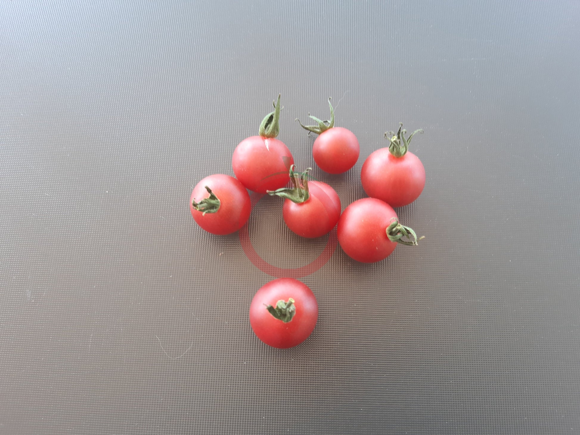 Reinhards Pink Cherry DER TOMATENFLÜSTERER