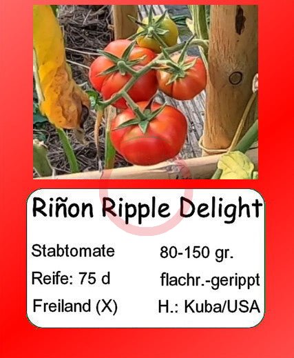 Riñon Ripple Delight DER TOMATENFLÜSTERER