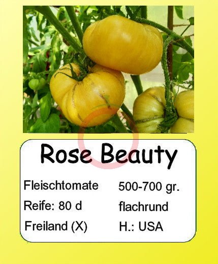 Rose Beauty DER TOMATENFLÜSTERER