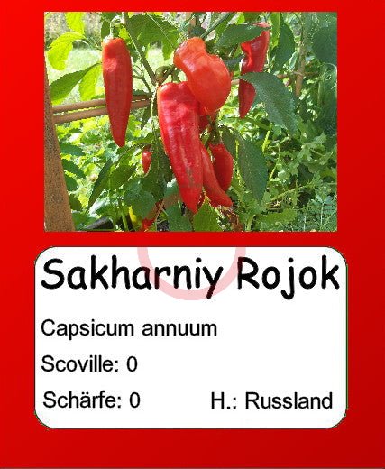 Sakharniy Rojok DER TOMATENFLÜSTERER