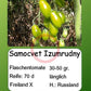 Samocvet Izumrudny DER TOMATENFLÜSTERER