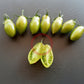 Samocvet Izumrudny DER TOMATENFLÜSTERER