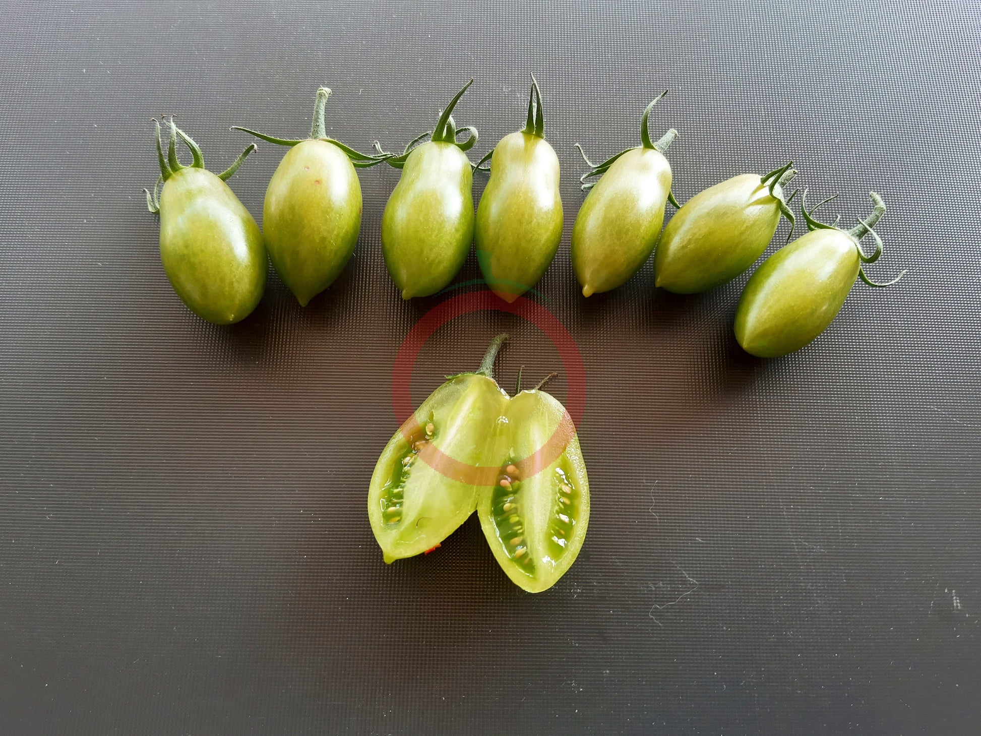 Samocvet Izumrudny DER TOMATENFLÜSTERER
