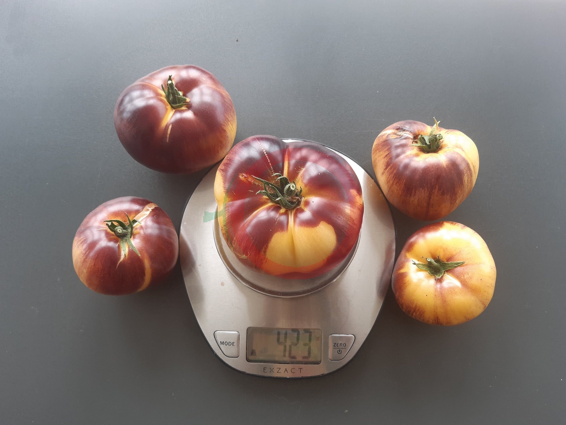 Sart Roloise DER TOMATENFLÜSTERER