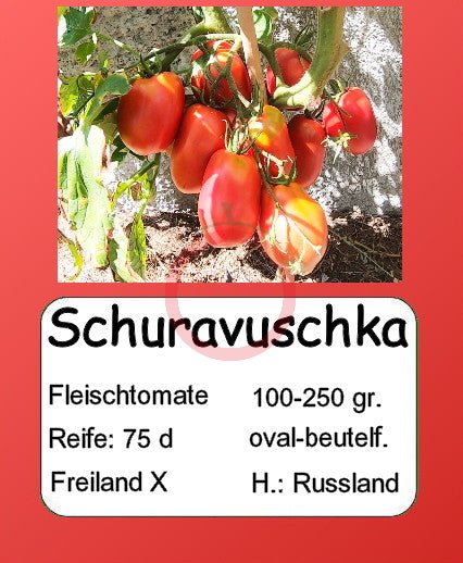 Schuravuschka DER TOMATENFLÜSTERER