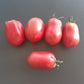 Schuravuschka DER TOMATENFLÜSTERER