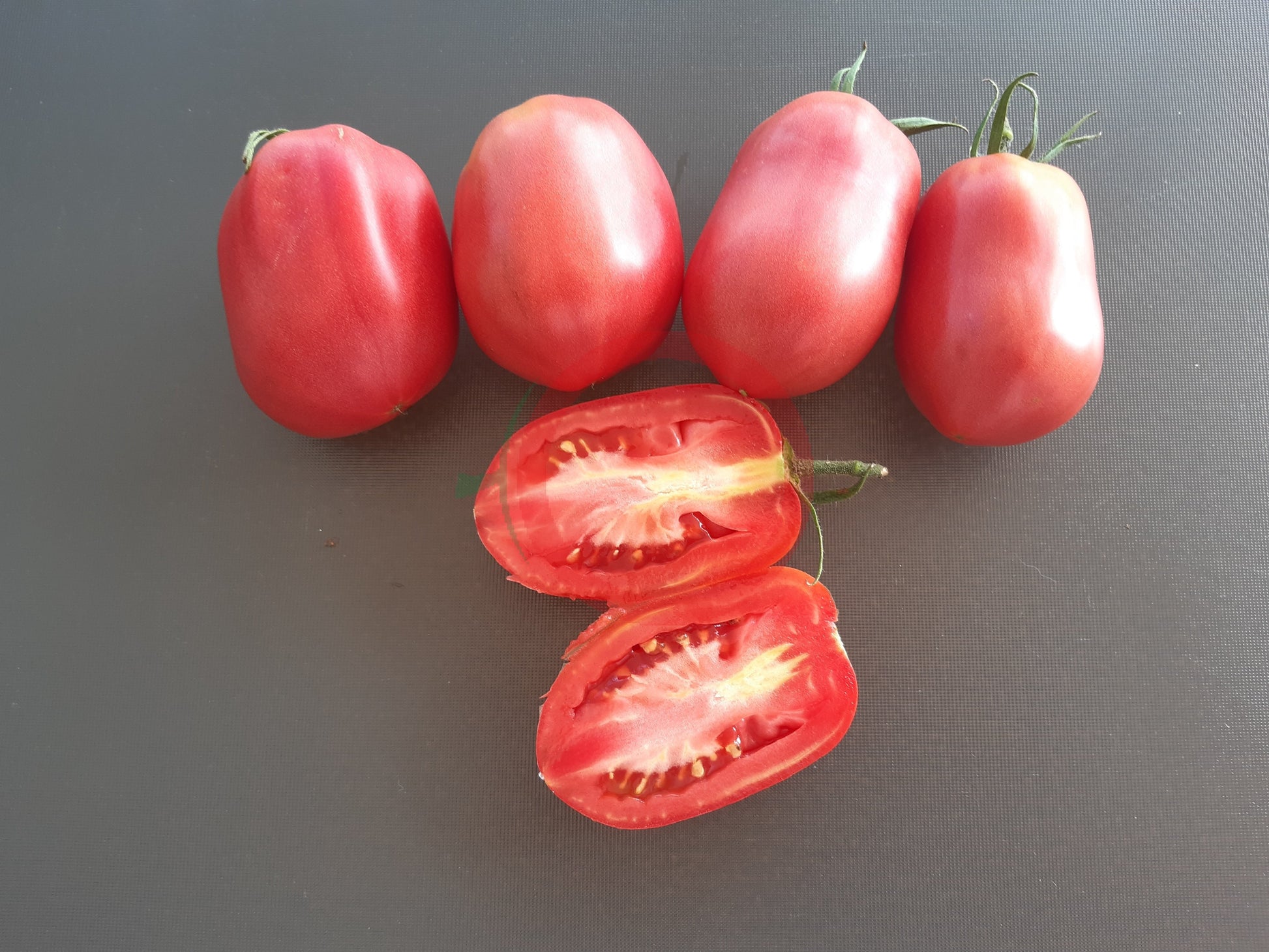 Schuravuschka DER TOMATENFLÜSTERER