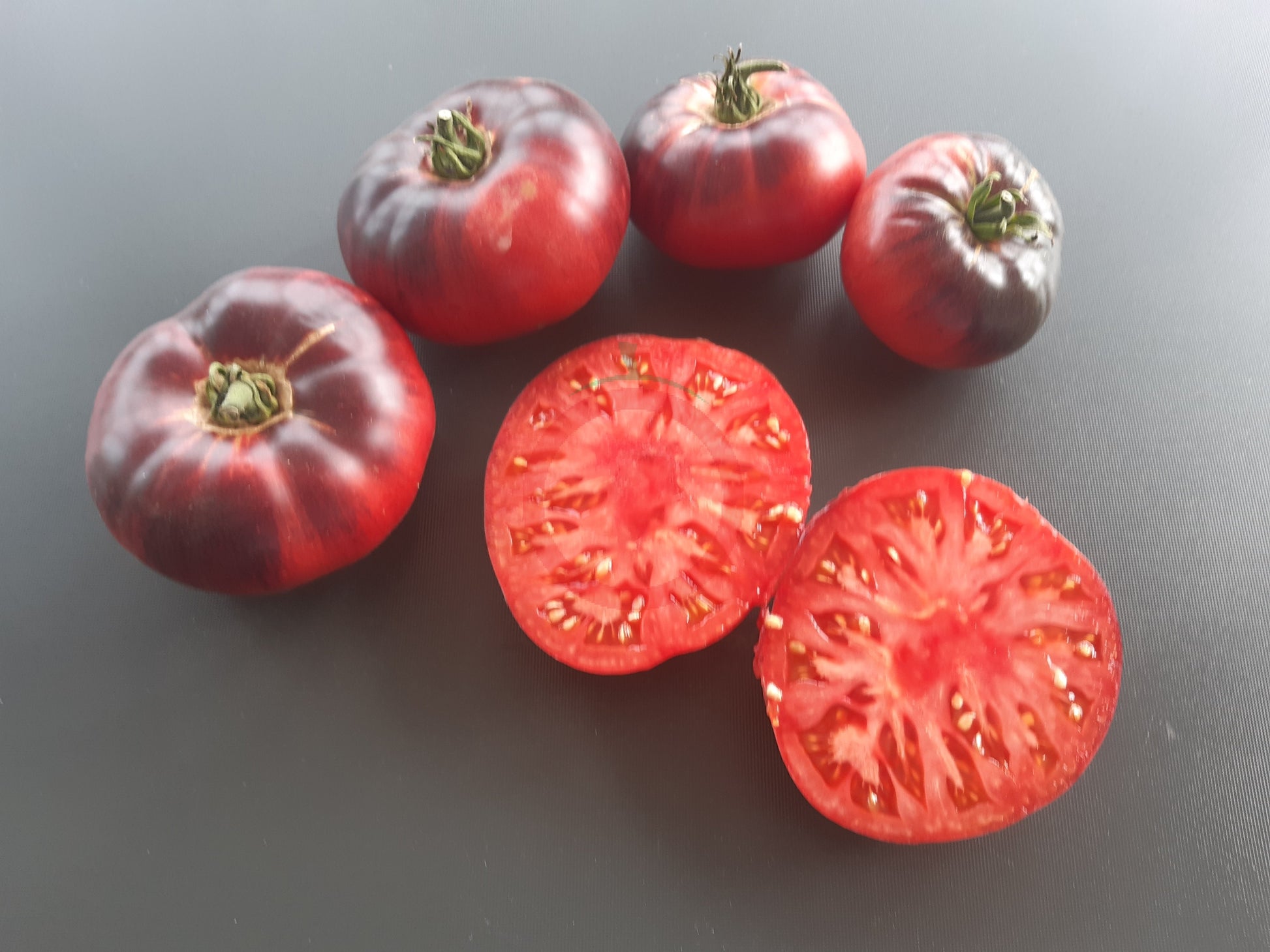 Scottsdale Road DER TOMATENFLÜSTERER