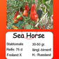Sea Horse DER TOMATENFLÜSTERER