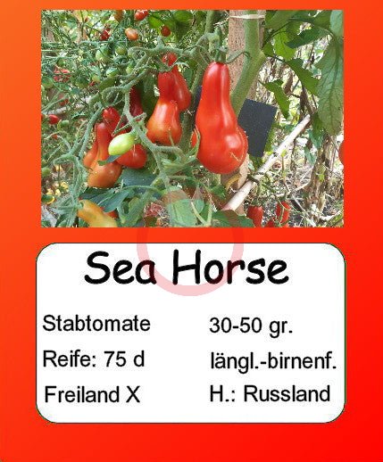 Sea Horse DER TOMATENFLÜSTERER