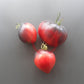 Sgt. Pepper´s DER TOMATENFLÜSTERER