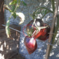 Sgt. Pepper´s DER TOMATENFLÜSTERER