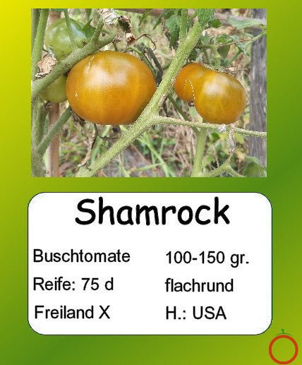 Shamrock DER TOMATENFLÜSTERER