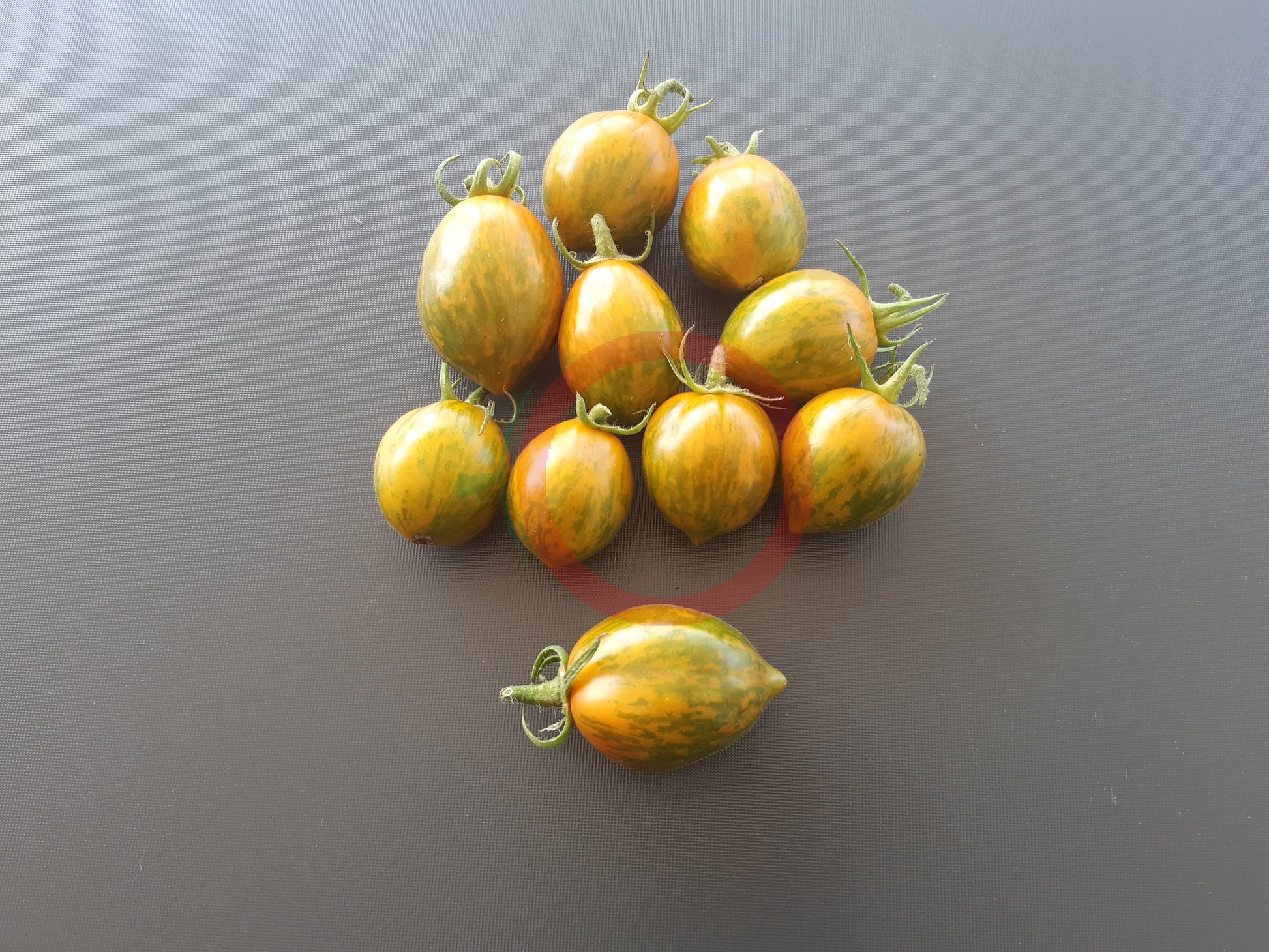 Six Fours DER TOMATENFLÜSTERER