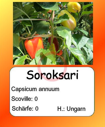 Soroksari DER TOMATENFLÜSTERER