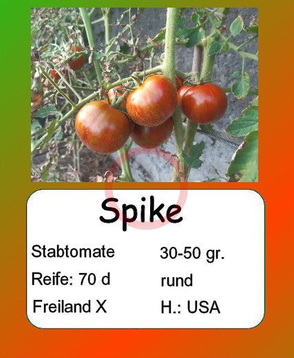 Spike DER TOMATENFLÜSTERER