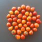 Starfire Isis DER TOMATENFLÜSTERER