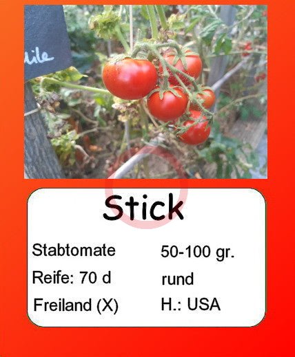 Stick DER TOMATENFLÜSTERER