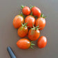 Stormin Norman DER TOMATENFLÜSTERER