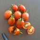Stormin Norman DER TOMATENFLÜSTERER