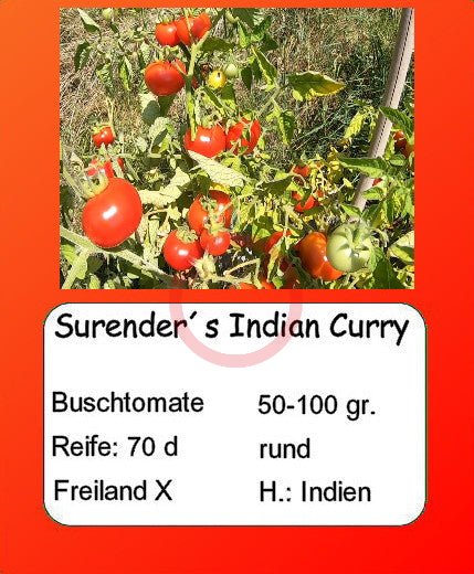 Surender´s Indian Curry DER TOMATENFLÜSTERER