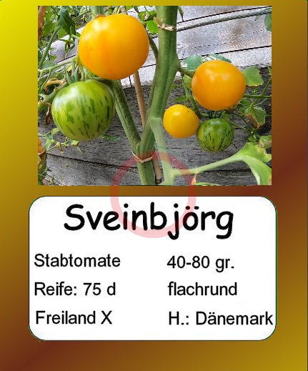 Sveinbjörg DER TOMATENFLÜSTERER