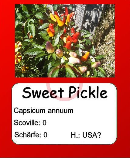 Sweet Pickle DER TOMATENFLÜSTERER