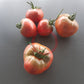 Taiga DER TOMATENFLÜSTERER