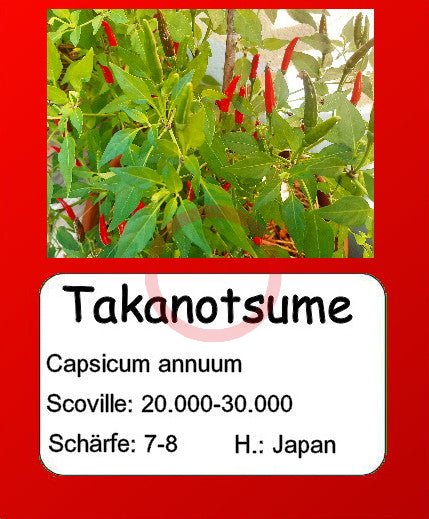 Takanotsume DER TOMATENFLÜSTERER