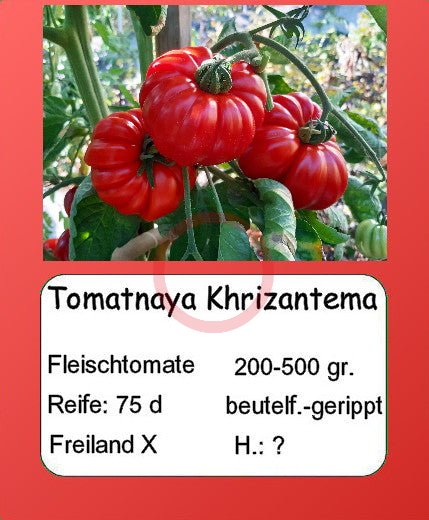 Tomatnaya Khrizantema DER TOMATENFLÜSTERER