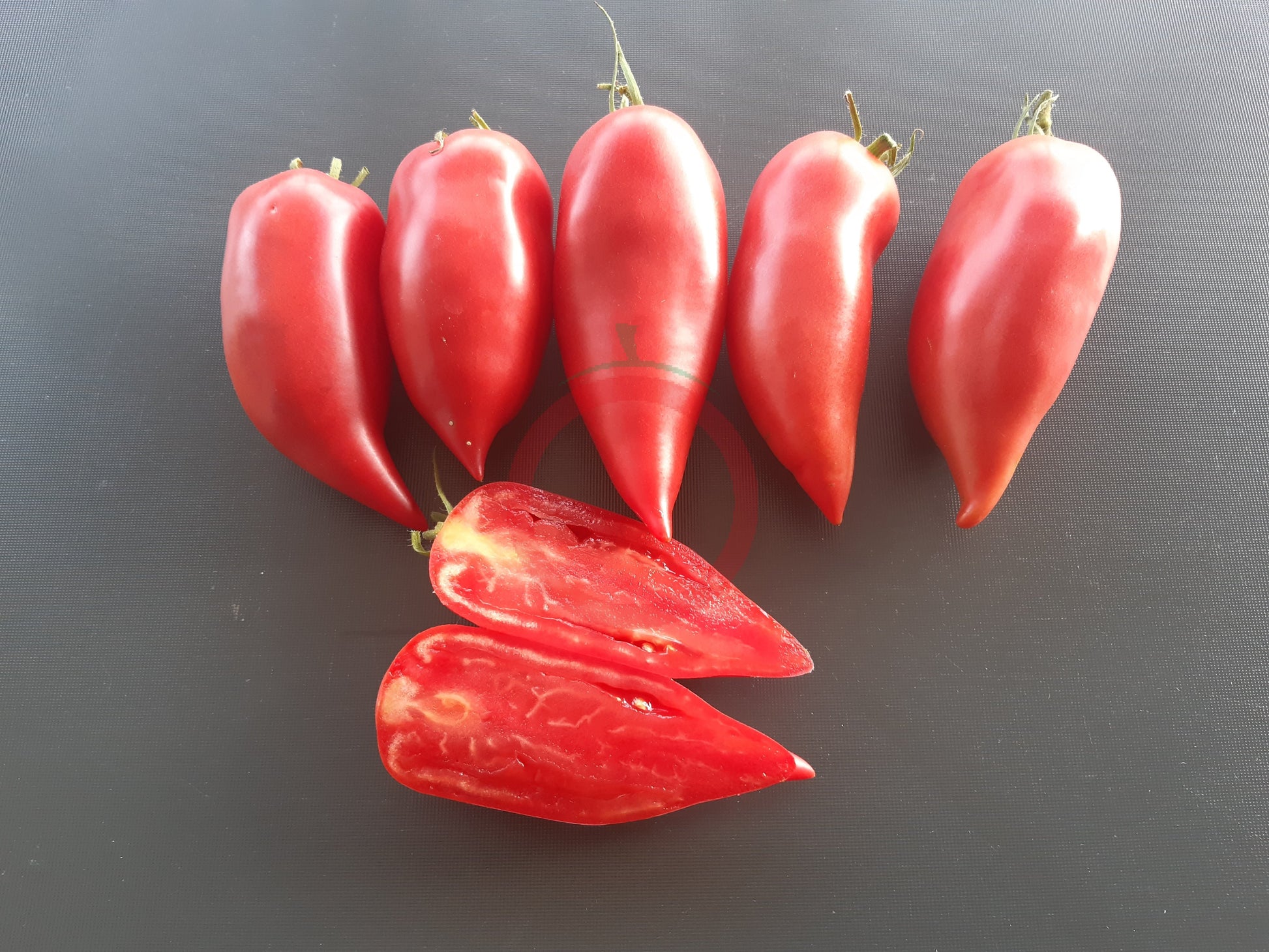 Töshin Jazyk DER TOMATENFLÜSTERER