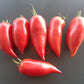 Töshin Jazyk DER TOMATENFLÜSTERER