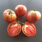 Tundra DER TOMATENFLÜSTERER