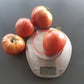 Tundra DER TOMATENFLÜSTERER