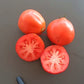 Turban turk ecarlate DER TOMATENFLÜSTERER