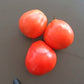 Turban turk ecarlate DER TOMATENFLÜSTERER