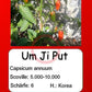Um Ji Put DER TOMATENFLÜSTERER