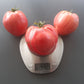 Ungarisches Riesenochsenherz DER TOMATENFLÜSTERER