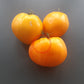 Vashe Velichestvo DER TOMATENFLÜSTERER