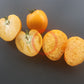 Vashe Velichestvo DER TOMATENFLÜSTERER