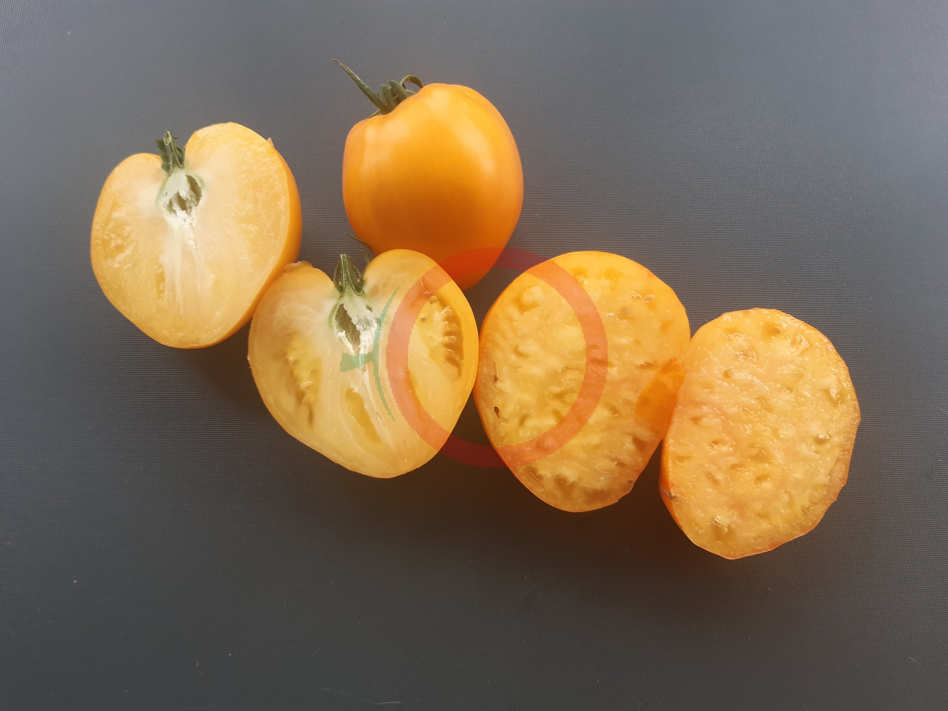 Vashe Velichestvo DER TOMATENFLÜSTERER