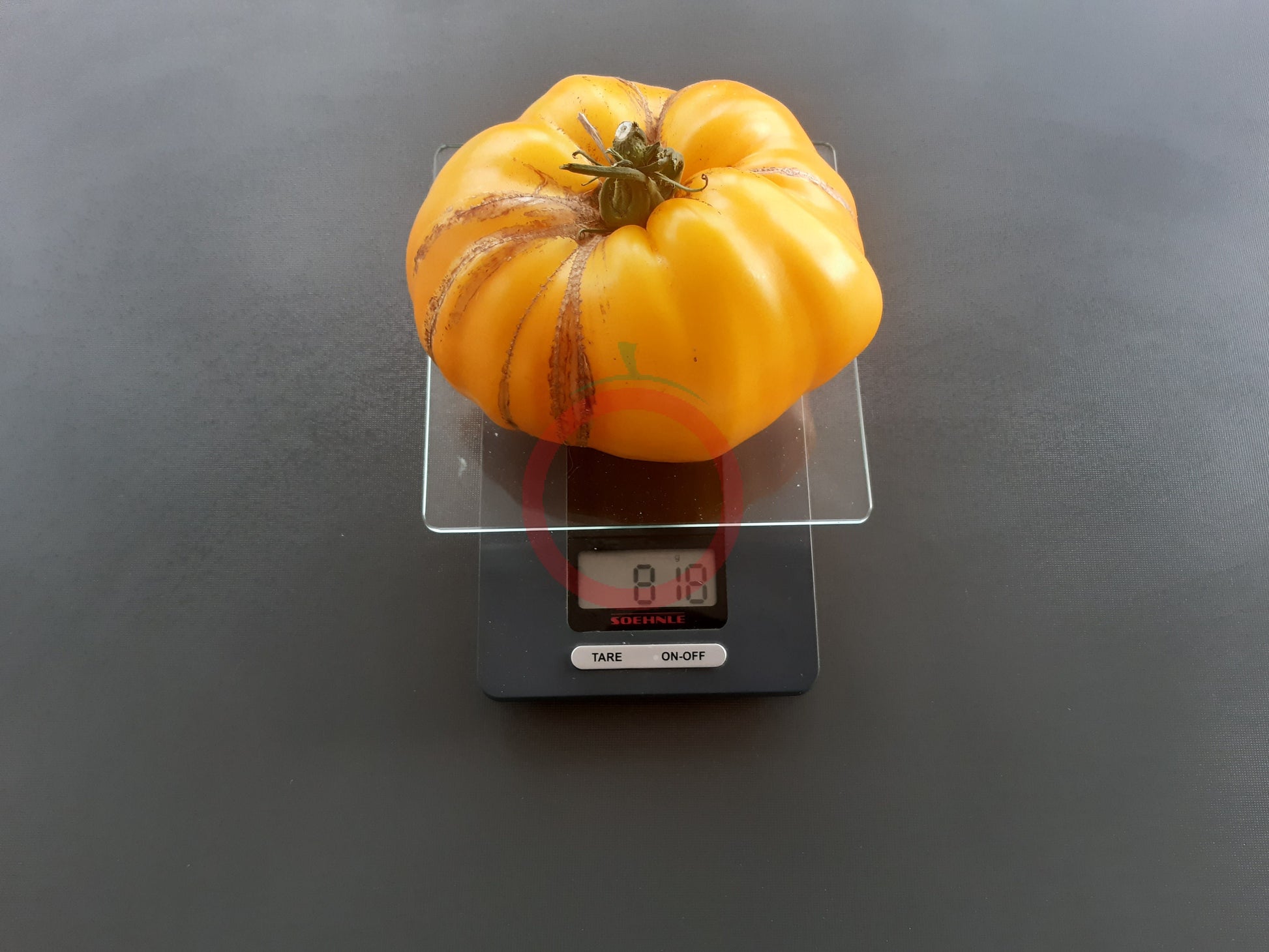 Vashe Velichestvo DER TOMATENFLÜSTERER